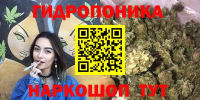 трава Пушкино